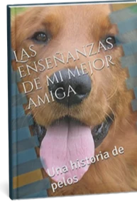 Portada del libro Las enseñanzas de mi mejor amiga
